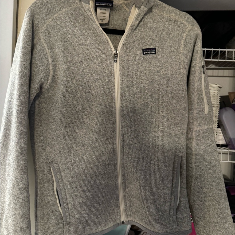 Patagonia better sweater hoodie